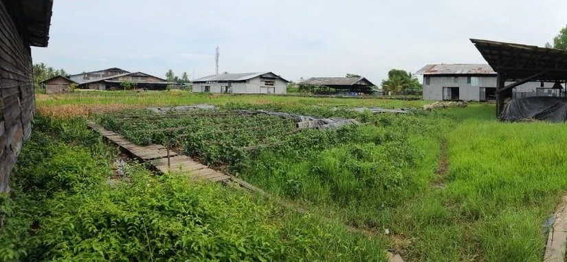 Knight Frank | Vacant Land in Kota Banjarmasin, Kalimantan Selatan | Vacant Land in Kota Banjarmasin 2