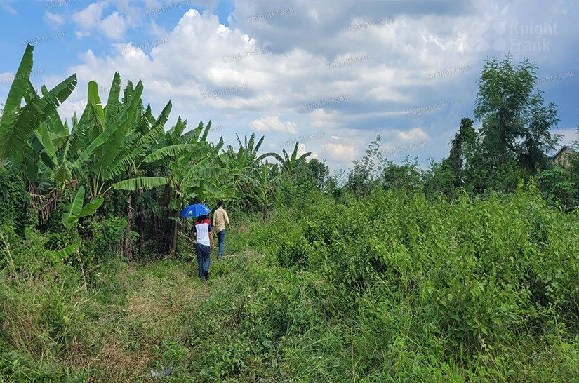 Knight Frank | Vacant Land in Karang Tengah, Demak | Photo