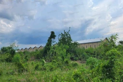 Knight Frank | Vacant Land in Karang Tengah, Demak | Photo (thumbnail)