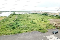 Knight Frank | Vacant Land in Karang Tengah, Demak | Photo (thumbnail)