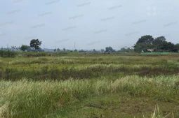 Knight Frank | Industrial Land in Klari, Karawang | Photo (thumbnail)